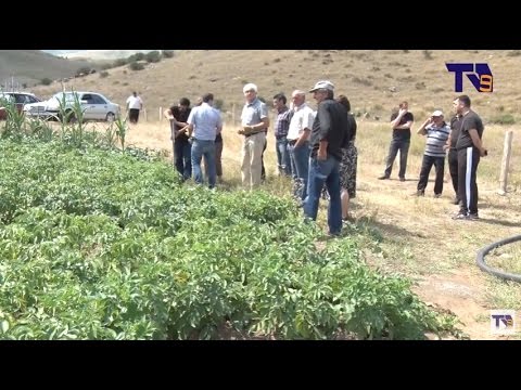 ასპინძის სადემონსტრაციო ნაკვეთში \"მინდვრის დღე\" მოეწყო