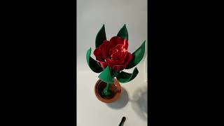 Blooming Rose Timelapse