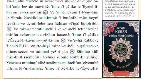 ختمة من مصحف التجويد باللغة التركية الصفحة رقم 274