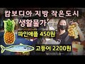 캄보디아 작은도시 생활물가 | 돼지고기 100g 540원, 소고기 100g 1.000원, 고등어 2.200원...|한캄 행복한가족