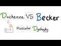 Duchenne VS Becker Muscular Dystrophy