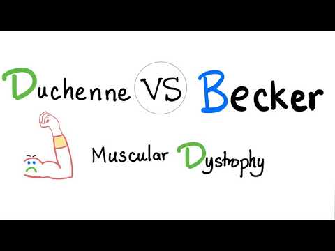 Duchenne VS Becker Muscular Dystrophy 