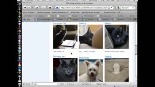 Drupal: Views Demystified (DrupalCamp LA 2010)