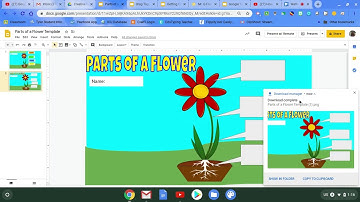 Drag and Drop with Google Slides