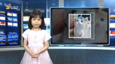 MC KHỞI ANH - KHÓA MC NHÍ GIAO TIẾP TỰ TIN N318 VIETSKILL - THỰC HÀNH GHI HÌNH TRƯỜNG QUAY