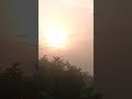 Morning buity #sun  गांव कि हरियाली #short