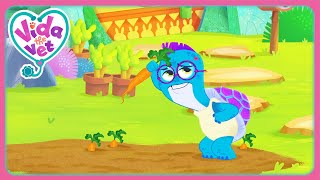 A Day Out In The Garden Compilation Vida The Vet Cartoons For Kids
