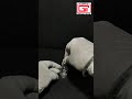 Video Image
