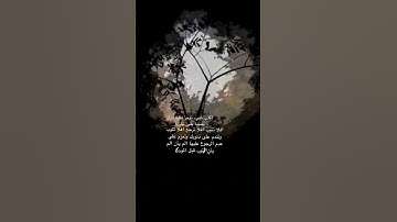 أَفَلَا يَتُوبُونَ إِلَى اللَّهِ وَيَسْتَغْفِرُونَهُ ۚ وَاللَّهُ غَفُورٌ رَّحِيمٌ (74) تلاوة خاشعة✨