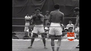 PACIFIC ORIGINALS Tonga's Boxing Story