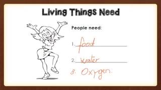 Science   Semester 3   Grade 2   Review Worksheet