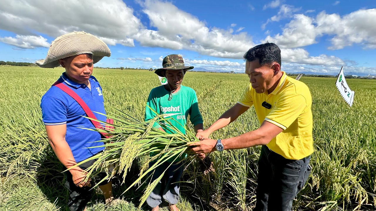 Gusto mo ba ng Libre? Free na BIO N - Tignan ang Performance sa Nueva Ecija