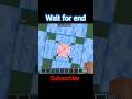 wait for end you will be happy#minecraft