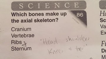 Cycle 3 Week 2 science