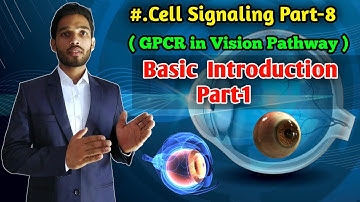 GPCR in Vision Pathway || BSc 1st year Zoology || Cell Signaling Part-8 || CSIR NET Life Science