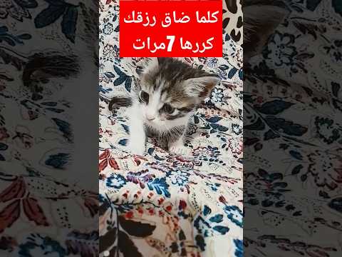 الآية موجودة في التعليقات       