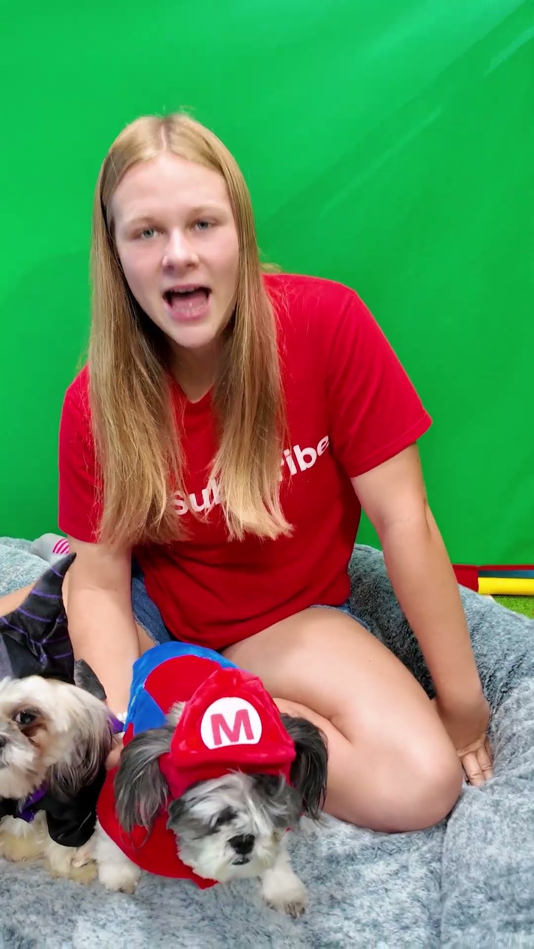 Assistant Plays Hero or Disney Villain with her Dogs Wiggles and Waggles #FamilyFun #FunnyDog