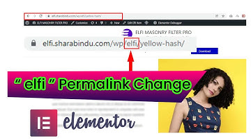 Chnage the " elfi "  permalink :  Elfi Filter addon for Elementor