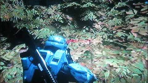 HLG Flawless Hiding on Isolation