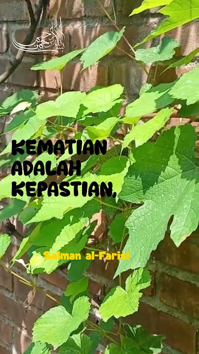 MATI HIDUP, NASEHAT #shorts #motivasi #renungan #nasehat #hidup