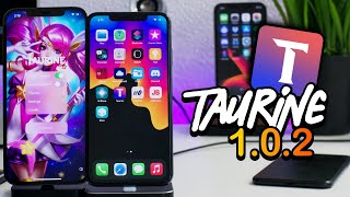 Taurine iOS 14 Jailbreak Update: New Version 1.0.2 Battery Fixes & Jetsam Crashes 14.3 - 14.0