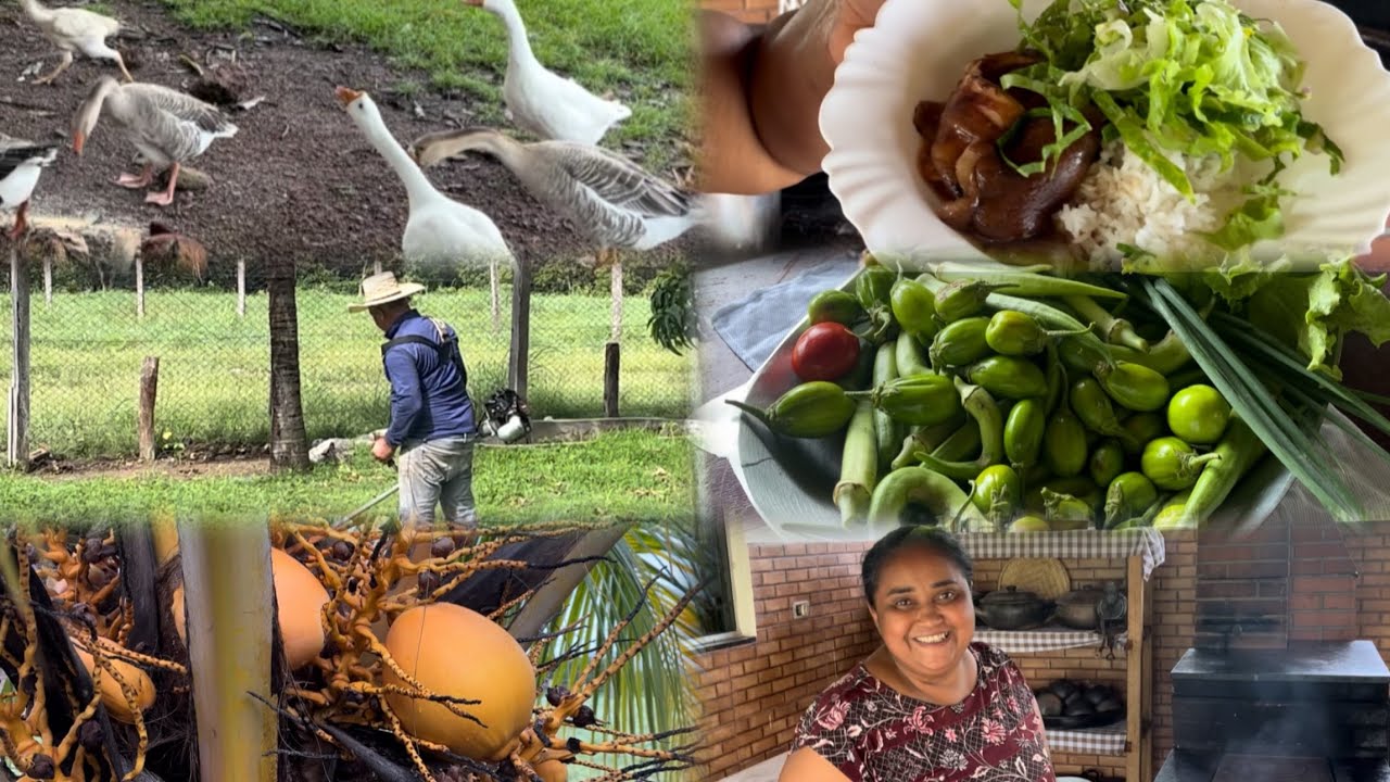Hoje o dia foi cheio de fartura e muito trabalho por aqui.
