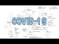**COVID-19**  a visual summary of the new coronavirus pandemic