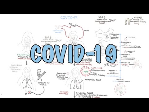 **covid-19**-a-visual-summary-of-the-new-coronavirus-pandemic