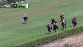 Vidéo de la course PMU PREMIO CHARM TALKER