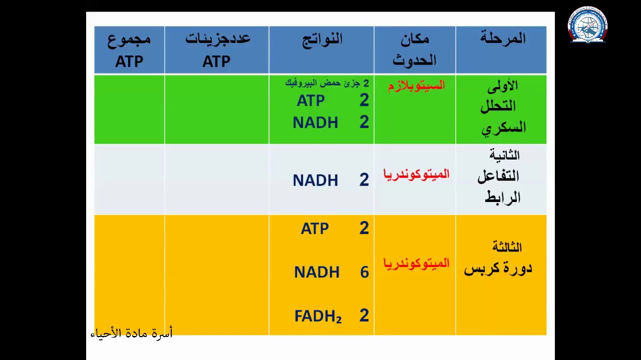 أحياء 2 ثانوي حساب عدد جزئيات Atp الناتجة من أكسدة جزئ جلوكوز