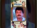 സാമാന്യ ബോധം ഉള്ള ആരും ഇങ്ങനെ ചെയ്യില്ല ഈ പ്രതിക്ക് വട്ടുണ്ടോ #mammootty
