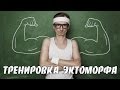 Как набрать массу худому. Программа тренировок для эктоморфа.