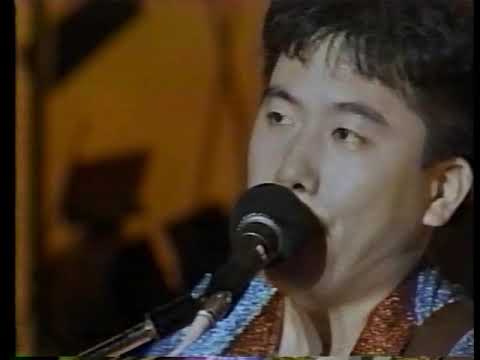 チューリップ　心の旅