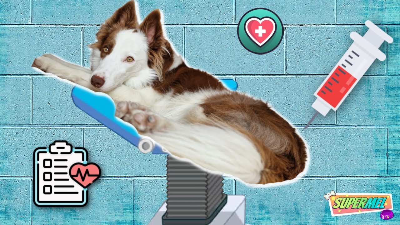 SIMULADOR de PONER INYECCIONES / Mel Gamer