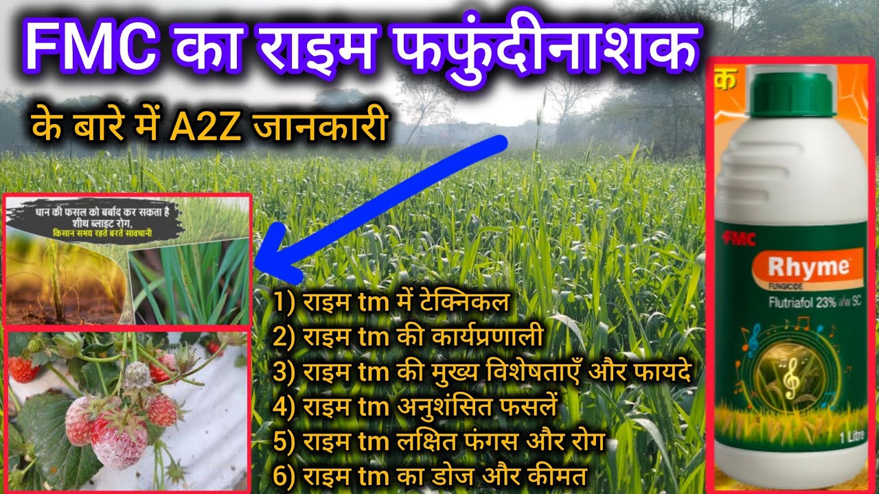 Fmc Rhyme FMC का राइम फफुंद नाशक Rhyme fafundnashak के बारे में पूरी जानकारी ...