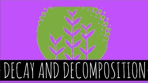 Decay and Decomposition - How Does Decay and Decomposition Work? - GCSE Biology