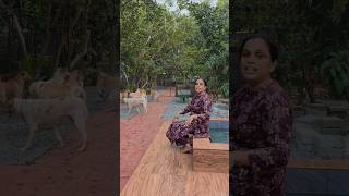 ഇന്ന് എന്താണെന്നല്ലേ  # Shorts #Viral #Dog #Love #Youtubeshorts #Viral shorts