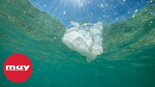 ¿Cuánto plástico hay en el mar?