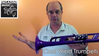 Cool Wind Plastic Student Trumpet Review