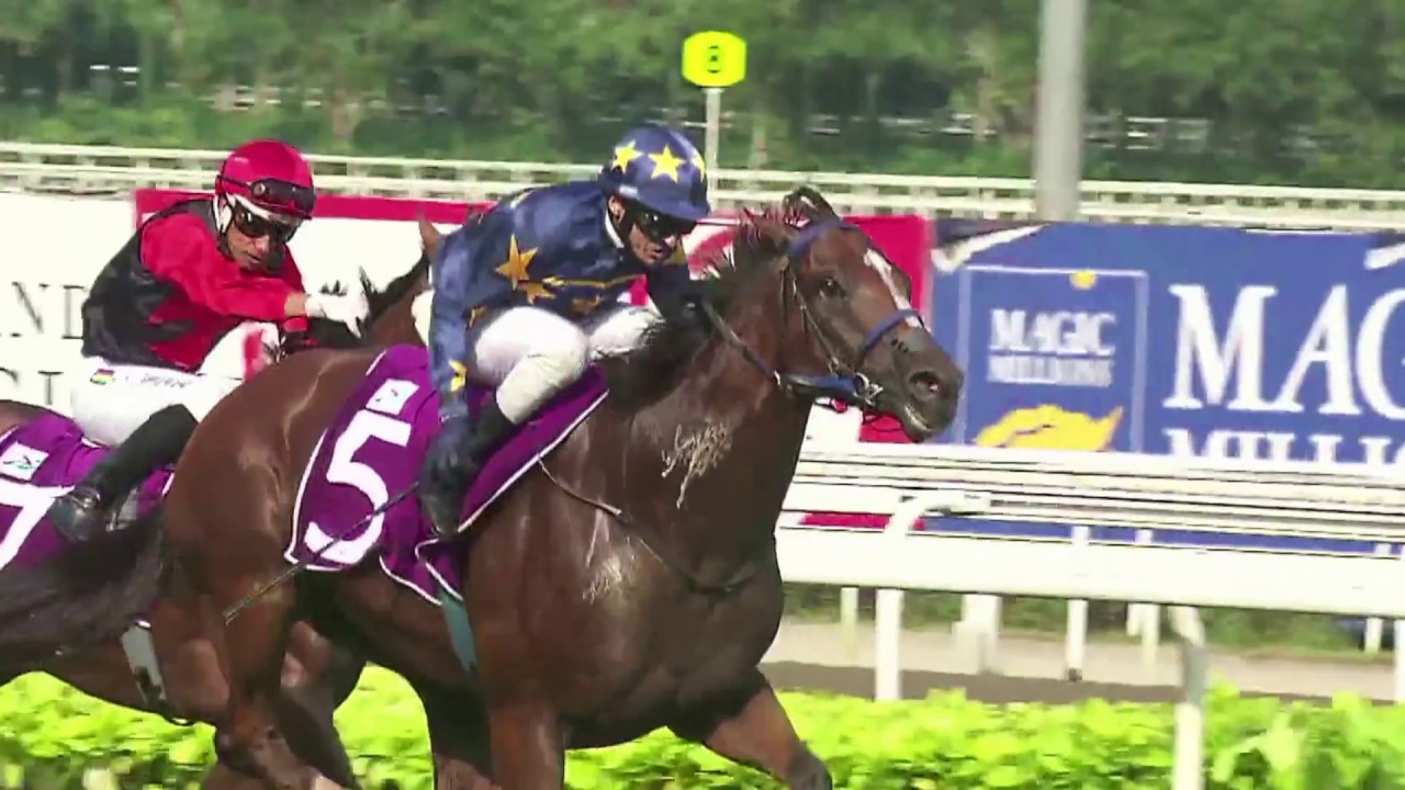 Horse Sense 2017 EP#7 - YouTube