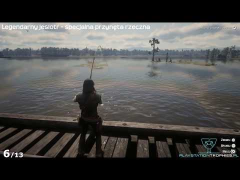 Video: Red Dead Redemption 2 Legendární Umístění Ryb A Jak Je Chytit