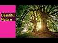 Beautiful Nature Gk/Environment, वातावरण , पर्यावरण