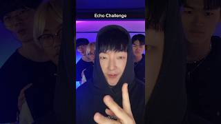 Echo challenge #beatbox #tiktok