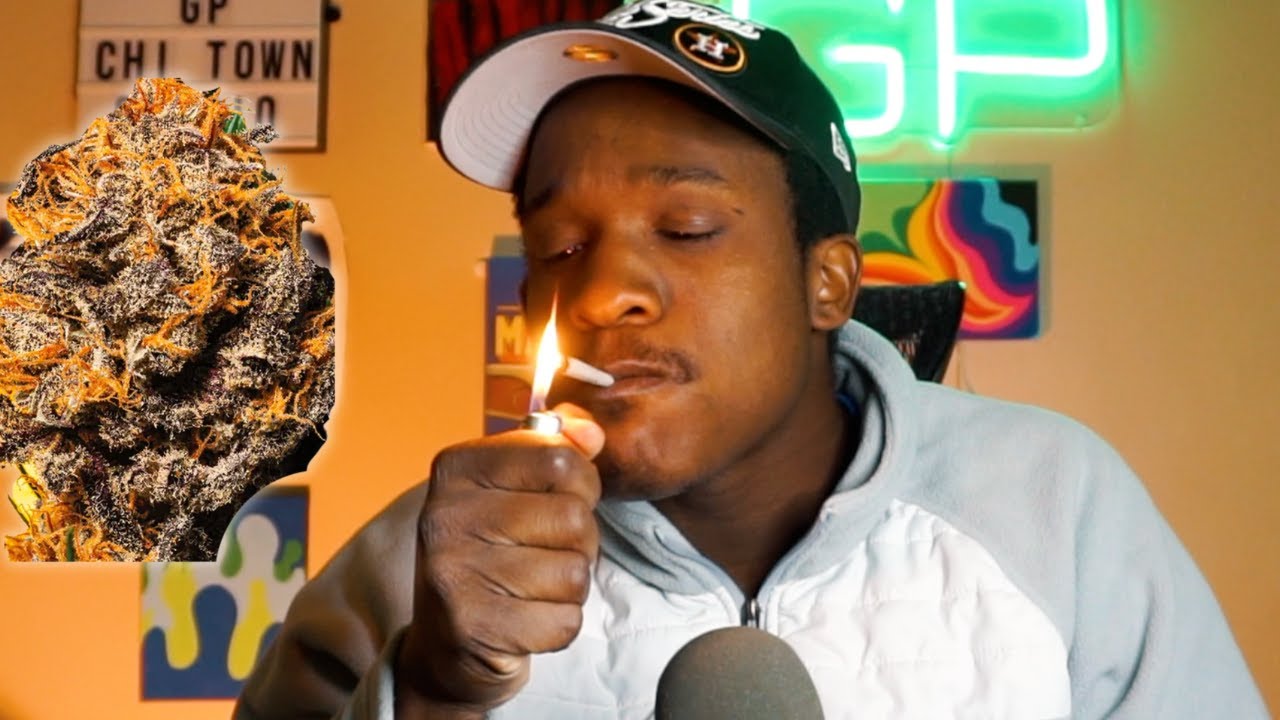 Black Dog Kush Sesh YouTube