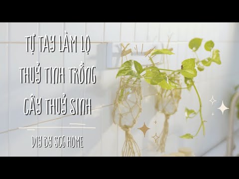 Video DIY by SCG Home: Tập 2 - Tự tay làm lọ thuỷ tinh trồng... - youtube