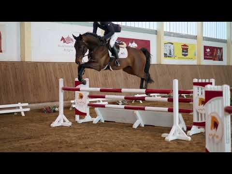 Video Zinetino v. Zinedream - Glenn Alme - Mentor