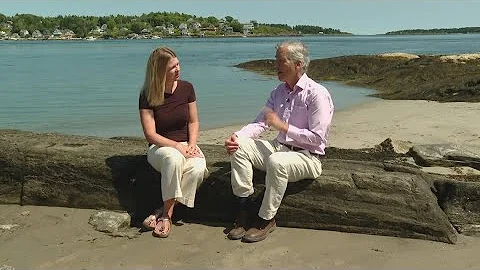 A Maine science writer takes a deep dive into the lives of seals thumbnail