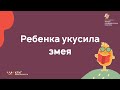 Ребёнка укусила змея. Первая помощь.