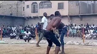 Kukalli Sabon Damben Garkuwa Cindo