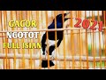 Masteran Kacer Gacor Ngotot Full Isian Mp3 - Mp4 Download